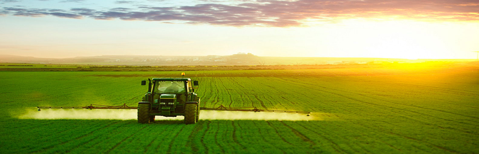 Hydrophobic silica- Insecticides and Pesticides